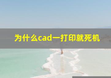 为什么cad一打印就死机