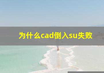 为什么cad倒入su失败