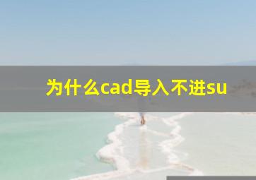 为什么cad导入不进su