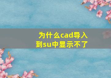 为什么cad导入到su中显示不了