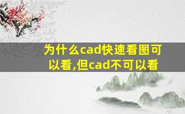 为什么cad快速看图可以看,但cad不可以看