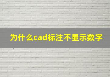 为什么cad标注不显示数字