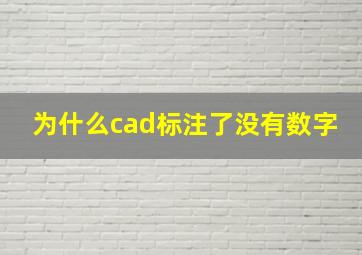 为什么cad标注了没有数字