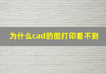 为什么cad的图打印看不到