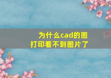 为什么cad的图打印看不到图片了