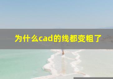 为什么cad的线都变粗了