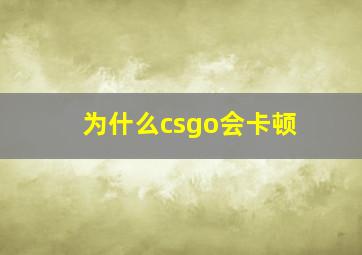 为什么csgo会卡顿