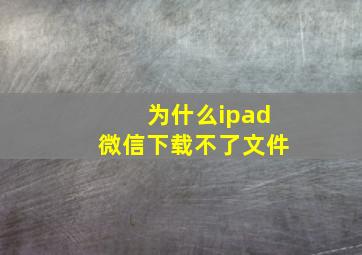 为什么ipad微信下载不了文件