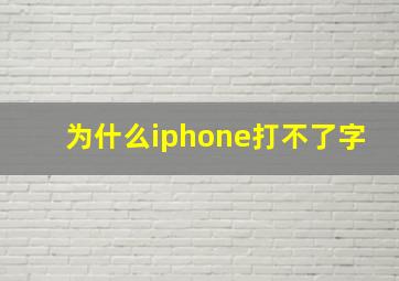 为什么iphone打不了字