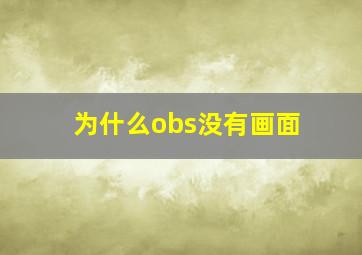 为什么obs没有画面