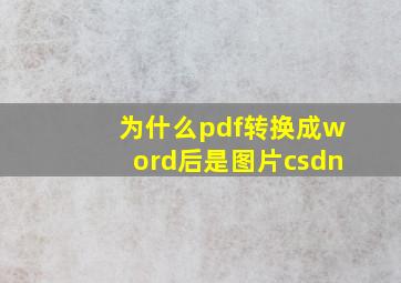 为什么pdf转换成word后是图片csdn