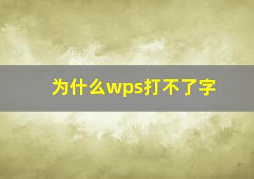 为什么wps打不了字