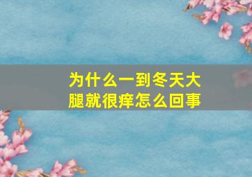 为什么一到冬天大腿就很痒怎么回事