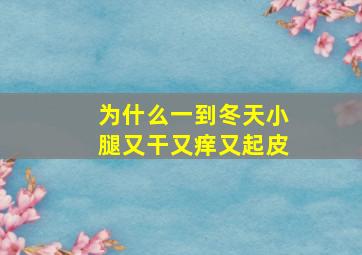 为什么一到冬天小腿又干又痒又起皮