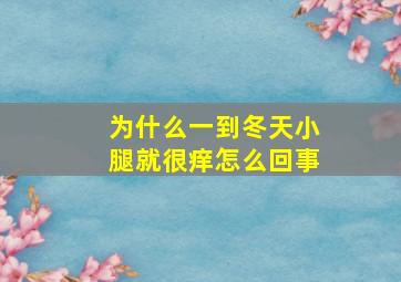 为什么一到冬天小腿就很痒怎么回事