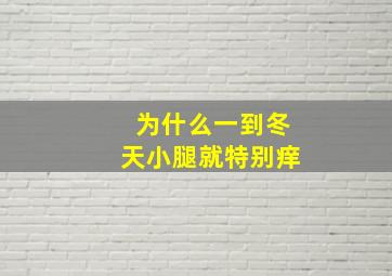 为什么一到冬天小腿就特别痒