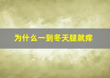 为什么一到冬天腿就痒