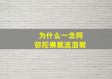 为什么一念阿弥陀佛就流泪呢