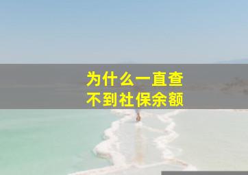 为什么一直查不到社保余额