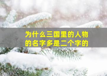 为什么三国里的人物的名字多是二个字的