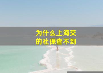 为什么上海交的社保查不到