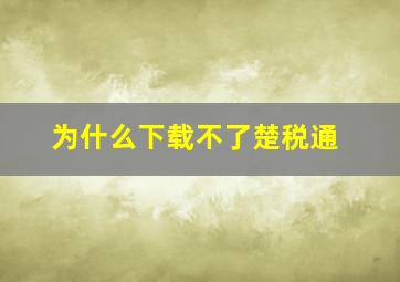 为什么下载不了楚税通