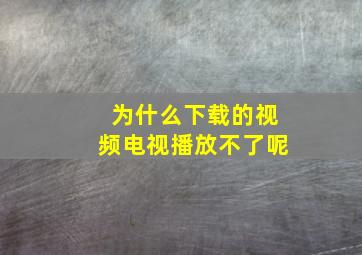 为什么下载的视频电视播放不了呢