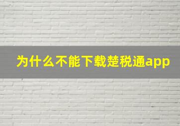 为什么不能下载楚税通app