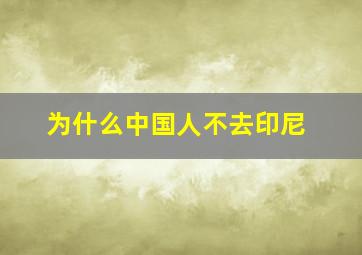 为什么中国人不去印尼