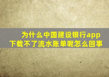 为什么中国建设银行app下载不了流水账单呢怎么回事