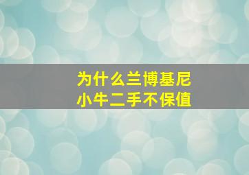 为什么兰博基尼小牛二手不保值