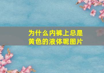 为什么内裤上总是黄色的液体呢图片