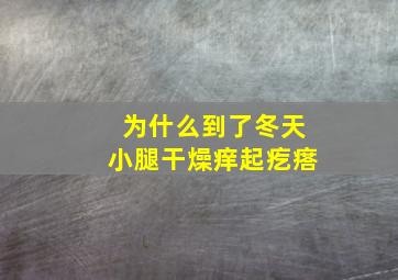 为什么到了冬天小腿干燥痒起疙瘩