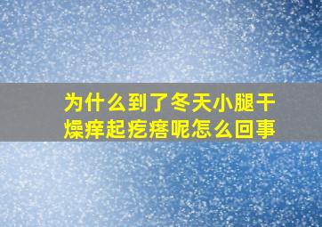 为什么到了冬天小腿干燥痒起疙瘩呢怎么回事