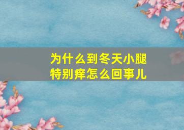 为什么到冬天小腿特别痒怎么回事儿