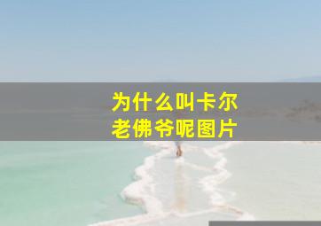 为什么叫卡尔老佛爷呢图片