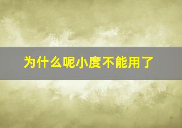 为什么呢小度不能用了