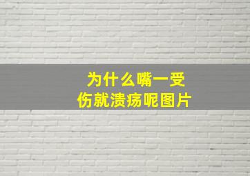 为什么嘴一受伤就溃疡呢图片