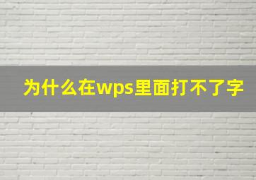 为什么在wps里面打不了字