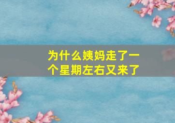 为什么姨妈走了一个星期左右又来了