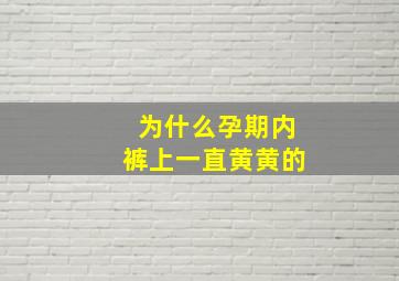 为什么孕期内裤上一直黄黄的