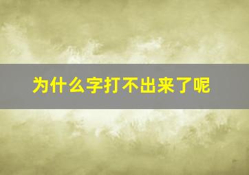 为什么字打不出来了呢