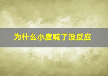 为什么小度喊了没反应