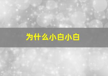 为什么小白小白