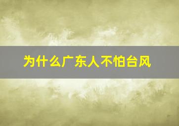 为什么广东人不怕台风