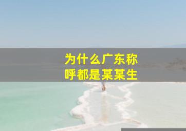 为什么广东称呼都是某某生