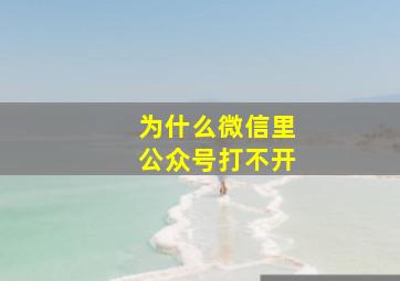 为什么微信里公众号打不开