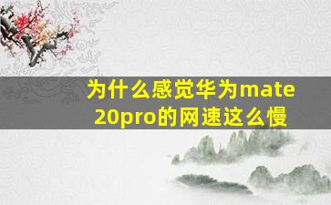 为什么感觉华为mate20pro的网速这么慢