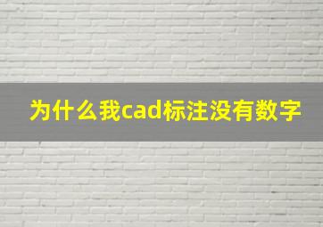 为什么我cad标注没有数字