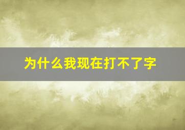 为什么我现在打不了字